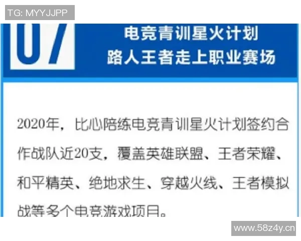 王者荣耀专题深度解析FPX战队的崛起与实力展现